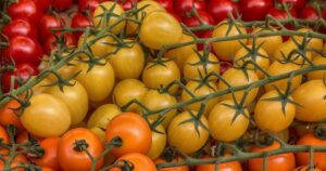 Avatar1766445136645 17664451375111036827761