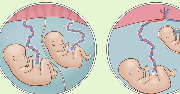 Avatar1766485990090 17664859906491565225291