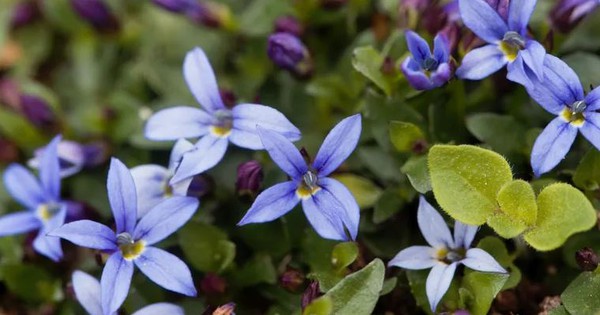 Avatar1766548080515 17665480810061811888857