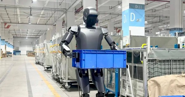 Avatar1766647041075 1766647042047552768072 0 0 628 1200 Crop 1766647086655783376509