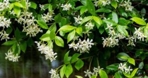 Avatar1766651318769 1766651319240907922766