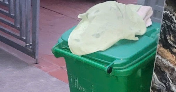 Avatar1766652358148 1766652358466559207908