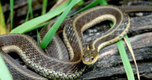 Avatar1766652594507 176665259523299940861