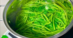 Avatar1766653306685 1766653307642740662453