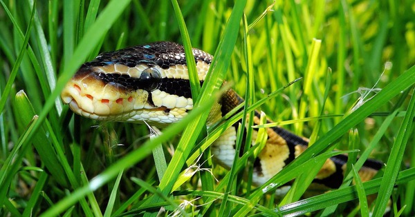 Avatar1766653397449 1766653397819852111365 272 0 1275 1915 Crop 1766653489308592289685