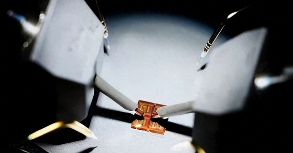 Avatar1766660237634 17666602386451844666496