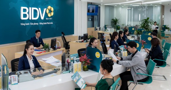 Avatar1766716244893 17667162456271137977972 95 0 866 1472 Crop 17667162774761676821763