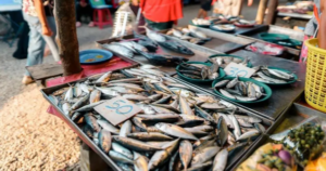 Avatar1766753768327 17667537776931216131017