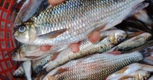 Avatar1766793022794 1766793023311153786481