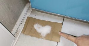 Avatar1766819032110 17668190328721579996202