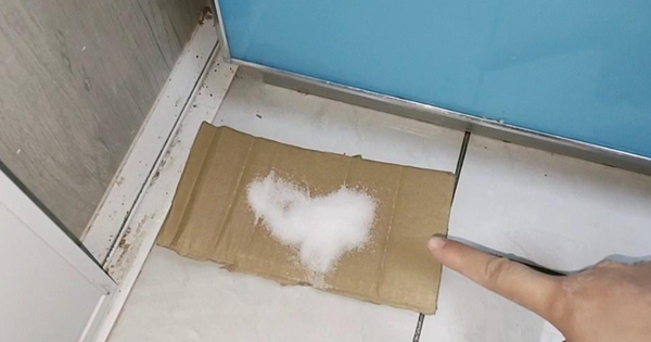 Avatar1766819032110 17668190328721579996202