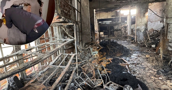 Avatar1766829573853 17668295747511488103611