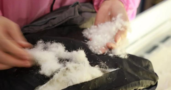 Avatar1766884867886 17668848686301606665790