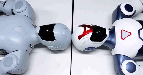 Avatar1766892426489 17668924268982132793843 0 0 314 600 Crop 17668924540751130743867