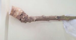 Avatar1767011355952 17670113578011594462461