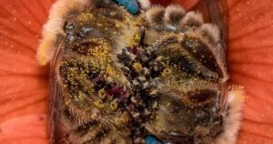 Avatar1767055740186 17670557408471998203644