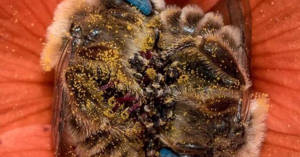 Avatar1767055740186 17670557408471998203644