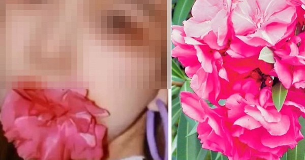 Avatar1767063510377 1767063510895618716161 182 0 706 1000 Crop 1767063569332860210585