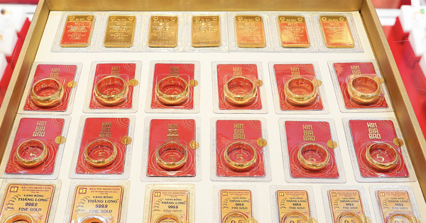 Avatar1767063733695 17670637362091013561562