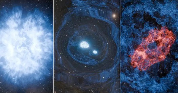 Avatar1767080690092 17670806905831152719695 1 0 315 600 Crop 17670807416181349994371