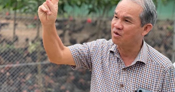 Avatar1767085103329 17670851047052007974998