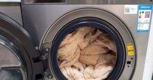 Avatar1767137415286 1767137415707643737996