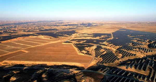 Avatar1767142603134 1767142603521915615182 0 0 472 900 Crop 17671426282901206674118