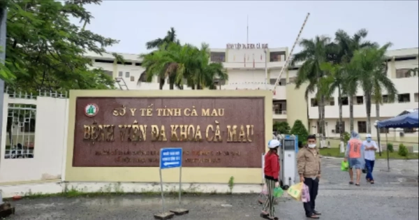 Avatar1767163230255 1767163230712437325232.Webp