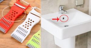 Avatar1767229661959 17672296623361656427215