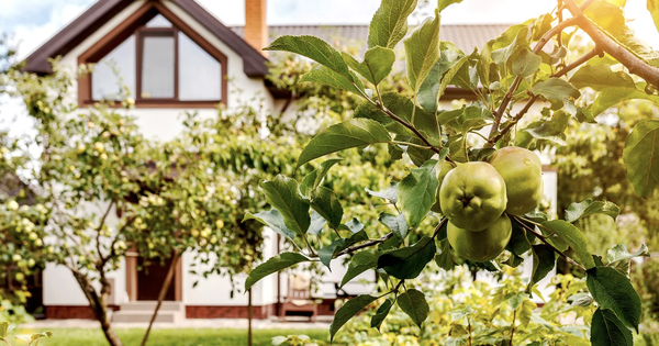 Avatar1767266117837 17672661185341096886819