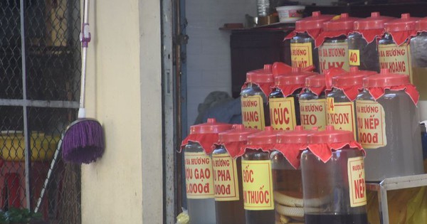 Avatar1767326891327 1767326891705782673599 0 51 571 965 Crop 17673269475531560157453