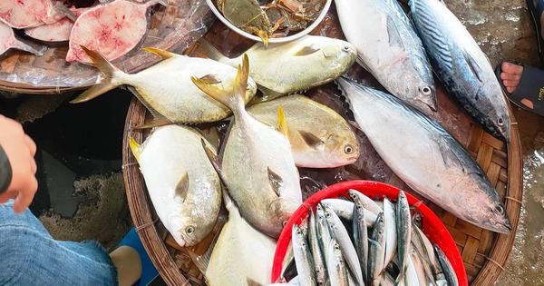 Avatar1767344592764 17673445933671091749121