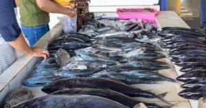 Avatar1767440073108 1767440073881564360756