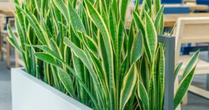 Avatar1767446482138 17674464840791938726459