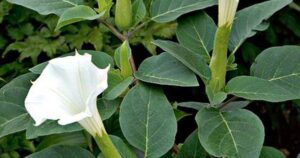 Avatar1767482426280 17674824265191050320314