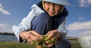 Avatar1767510864240 1767510865083759529304 10 0 1013 1915 Crop 1767510977064614022963