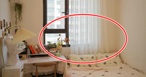 Avatar1767513350699 17675133512481065658949