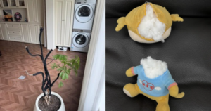 Avatar1767753210920 1767753211254144570392