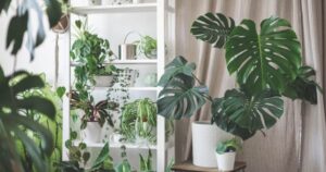 Avatar1767762919855 1767762920194984794750