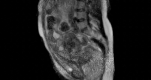 Avatar1767777384469 1767777384816416665051