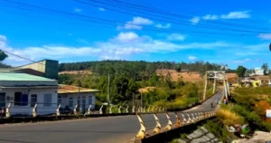 Avatar1767777447737 176777744847133802323.Webp