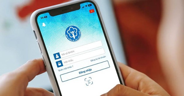 Avatar1767856685557 1767856686240948007512 0 0 419 800 Crop 1767856715709748500686