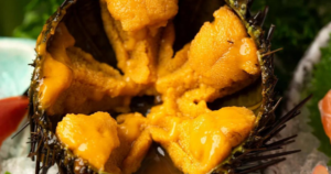 Avatar1767865594884 1767865595210882991267