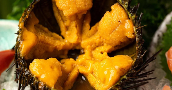 Avatar1767865594884 1767865595210882991267