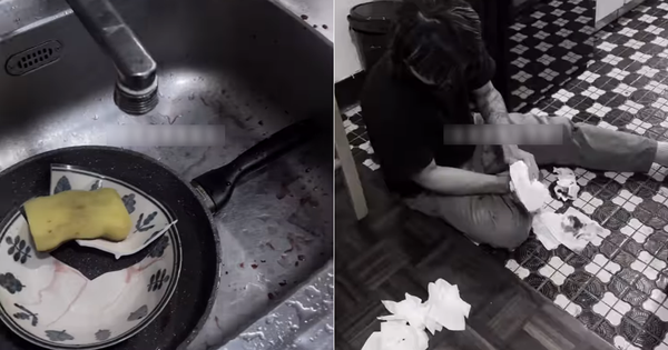 Avatar1767865666309 1767865666664182910931