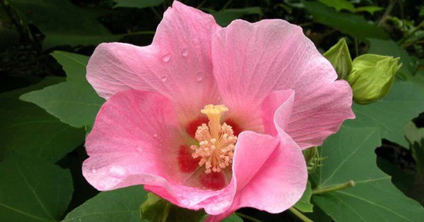 Avatar1767928587111 1767928589372287050060 0 0 310 593 Crop 17679286218342002345573