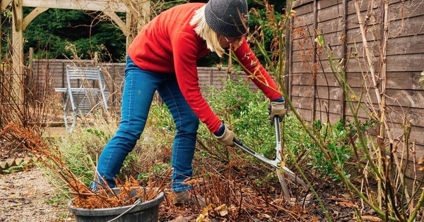 Avatar1768033807114 1768033807502432100371