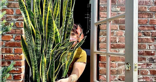 Avatar1768042654106 17680426568891129885097