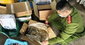 Avatar1768047409727 17680474102051226888736