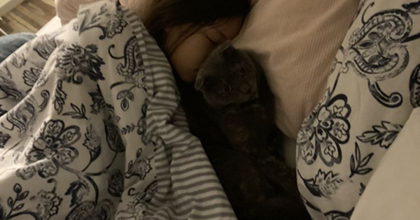 Avatar1768091187840 17680911882211137274465